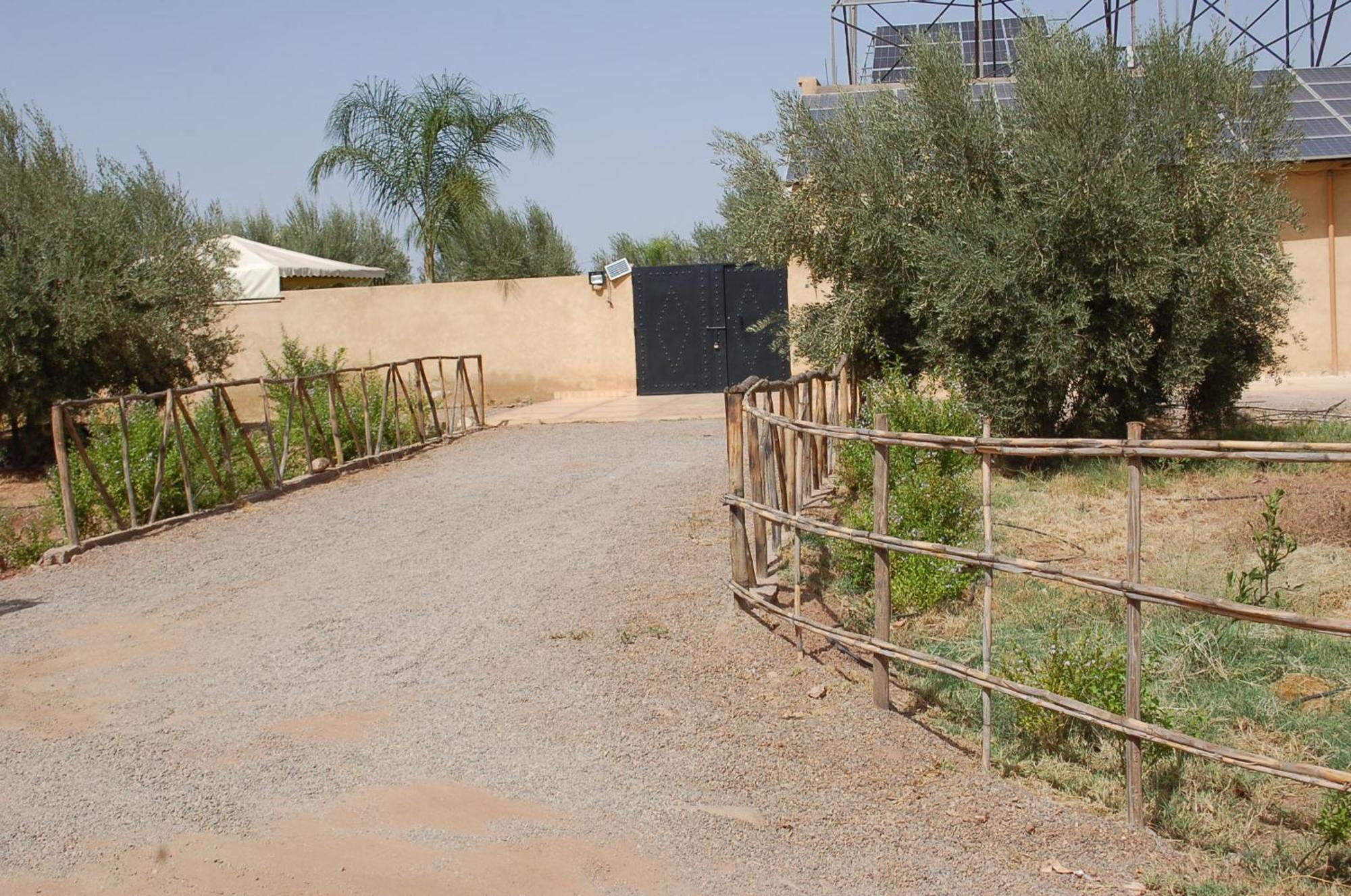 Villa Baraka Marrakesh Ngoại thất bức ảnh